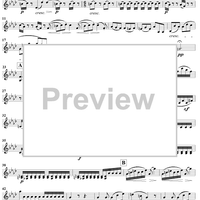 String Quartet No. 11 in F Minor, Op. 95 - Violin 2