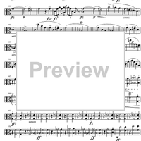 String Quintet C Major D956 - Viola