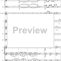 "Dite almeno in che mancai?" K479 - Full Score