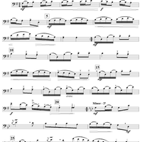 Tamborino - Double Bass