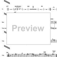 Sylvie et le paon - Percussion