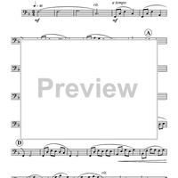 Reflections Of Life - Bassoon