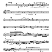 Erste Fantasie, Op. 339 - Horn in F