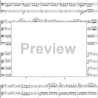 Eine kleine Nachtmusik - Score