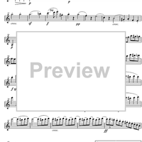 String Quintet C Major Op.29 - Violin 1