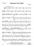 Through the Storm - Vibraphone