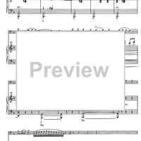 Suite andaluza - Score