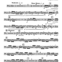 Alla Turca from "Sonata K. 331" - Tuba