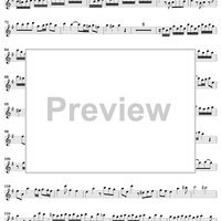 Concerto in E Minor for Recorder and Flute