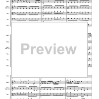 Allegro from Concerto in D Major - Score