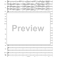 Harry Potter Symphonic Suite - Score