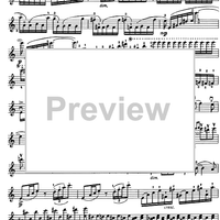 Introduction and Rondo capriccioso a minor Op.28 - Violin