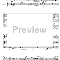 Volo Vienna - Parigi - N.Y.