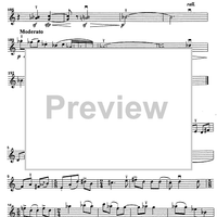 Godalni Quartet - Violin 1