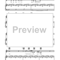 Bright Lights and Cityscapes