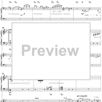 Concert Fantasy. Part 2. Contrastes