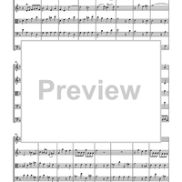 Quintet in the Key of Flexible (TWV 44:11) - Score