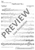 Organ Concerto No. 1 G Minor - Bassi/bassoon