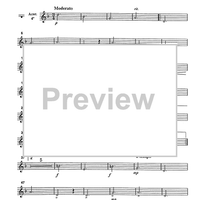 Serenata - Accordion 4