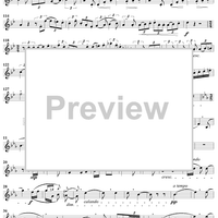 Horn Concerto No. 1 - Horn