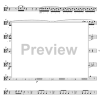 String Quintet G Major - Viola 2