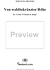 Von waldbekränzter Höhe - No. 1 from "8 Lieder & Songs" - Op. 57