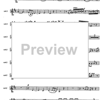 Messe solennele breve - Violin 2