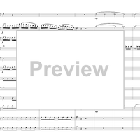 Concerto in E-flat - Score