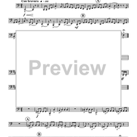 Musica Festiva - Tuba 2