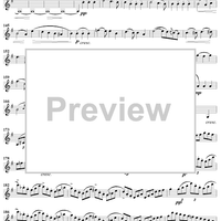 Violin Concerto in E Minor - Violin