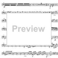 String Quintet C Major Op.29 - Cello