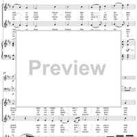 Twenty five Irische Lieder