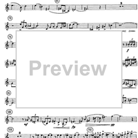 Horn Concerto - Horn in F