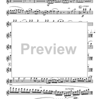 Turkey in the Straw - Flute