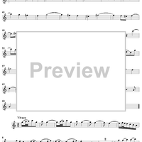 Trio Sonata in C Major QV 2: Ahn. 3 - Recorder