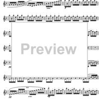 Zeffiro Dolce Spira... - Flute 3