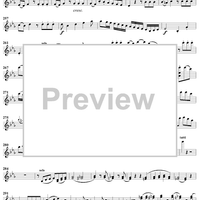 Violin Concerto No. 6 - Solo Violin