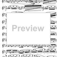 The Accomplished Clarinettist Vol. 1 - Clarinet