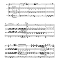 Andante - from Piano Concerto #21, K. 467 - Score