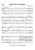 Quo Non Ascendam - Organ