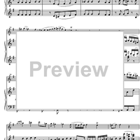 Concerto No. 2 C Major KV314 - Score