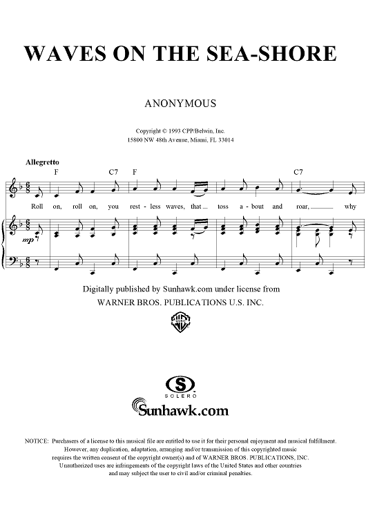 Waves on the Seashore