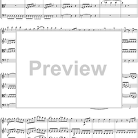 Eine kleine Nachtmusik - Score