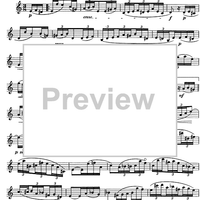 The Accomplished Clarinettist Vol. 1 - Clarinet