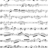 Viola Sonata no. 2,  op. 120, Andante con moto   (Viola Part)