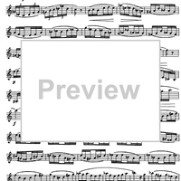 Preliminary studies to 'The Accomplished Clarinettist' Vol. 2 - Clarinet