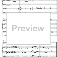 Flute Concerto in D major ("Il Gardellino") RV428 - Movt. 1, Allegro - Op. 10, No. 3