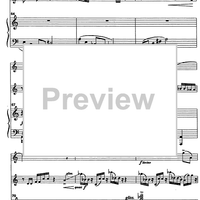 Trio Capriccioso - Score