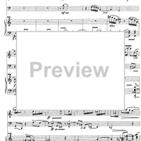 Trio Giocoso - Score