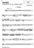 Quartetto - Viola